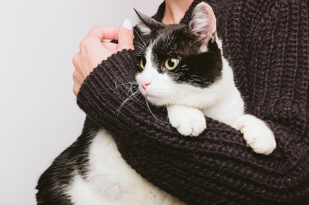 A girl in a warm sweater holds and hugs a home old cute gray-haired cat in her arms. Black and white color.