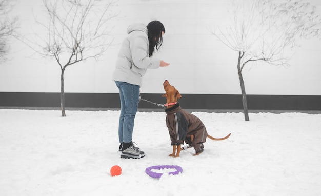 ひものための犬に冬の服を着ている少女