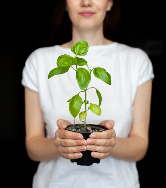 Foto una ragazza con una maglietta bianca tiene in mano un vaso con una pianta di basilico verde. piantine in crescita a casa. cibo delizioso e sano per insalata a casa.