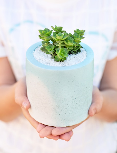 La ragazza in t-short bianco tiene in mano una pianta succulenta nel vaso di fiori bianco-blu in ceramica