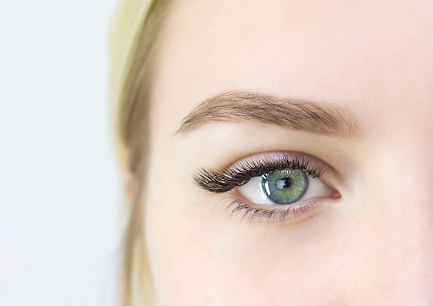 A girl with beautiful green eyes, artificial black eyelashes. Close-up of the eyes. Eyelash extensions. L-bend