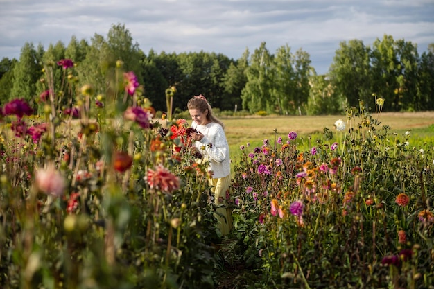 フィールドでダリアの花束を持つ少女