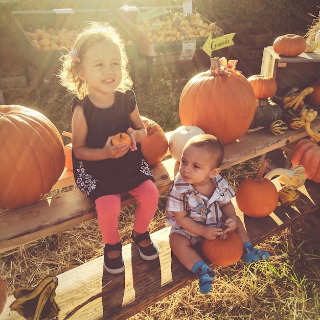 Photo girl with brother and pumpkins on seat during sunny day