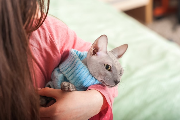 ベッドの上の寝室で猫と少女。ペットと人。