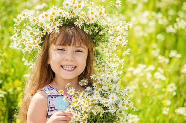 カモミールを持つ少女。セレクティブフォーカス自然の花。