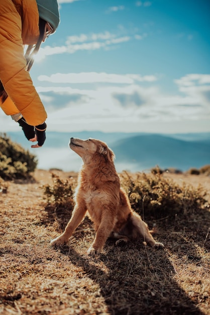 강아지와 함께 산에서 노는 소녀 가을 분위기 애완 동물과 함께 여행Woman과 그녀의 강아지 야외 포즈