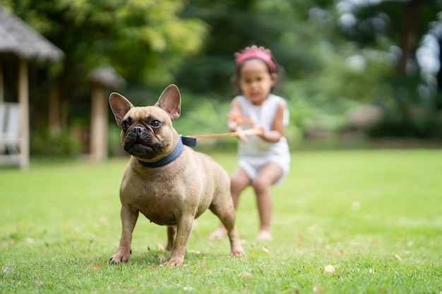 庭で犬を飼っている女の子