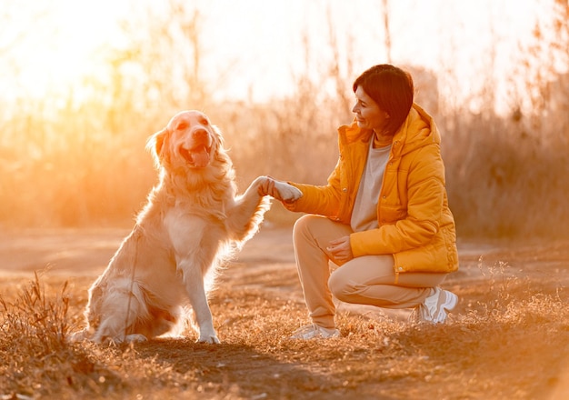 Girl with golden retriever dog high five with sunset light outdoors. Young woman with doggy pet labrador at nature at autumn