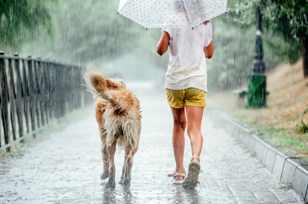 Girl with golden retriever dog during rain running under umbrella outside. Preteen kid with doggy pet walking in rainy day