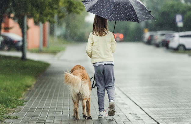 Girl with golden retriever dog in rainy day