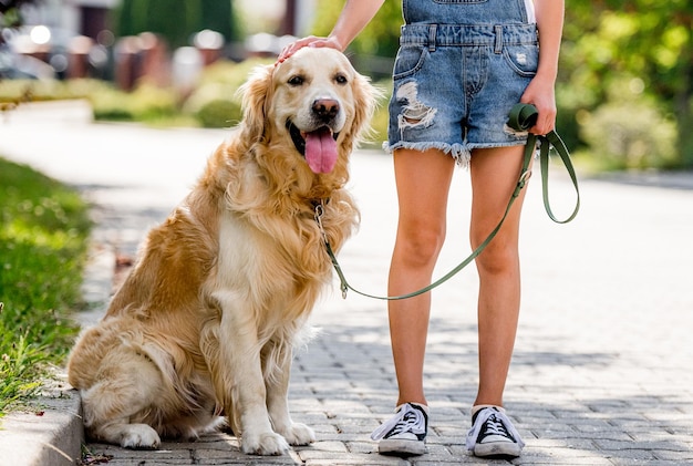 ゴールデンレトリバー犬を持つ少女