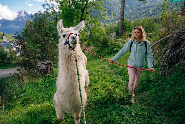 이탈리아 숲에서 라마와 소녀입니다. 고품질 사진