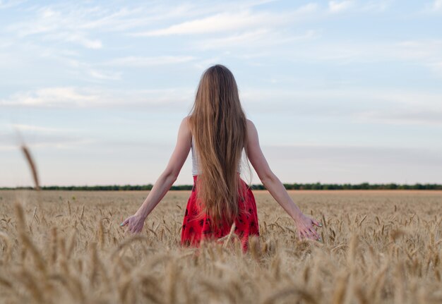 Girl with long hair standing with her back to the wheat field outstretched hands and admiring the evening sky