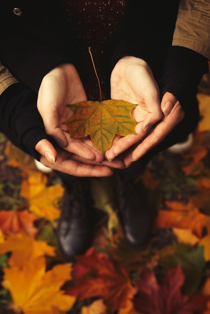 girl with open hands holding a yellow leaf in forest.