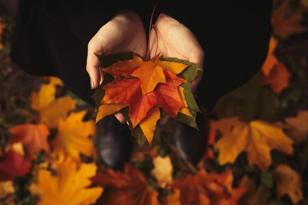 The girl with open hands is holding a yellow leaf in the forest. Autumn background.