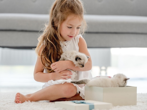 Girl with ragdoll kittens