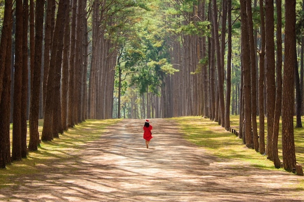 赤いサンタクロースの女の子がクリスマスの日に松の庭を歩く