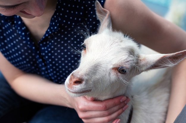 A girl with a small cute goat