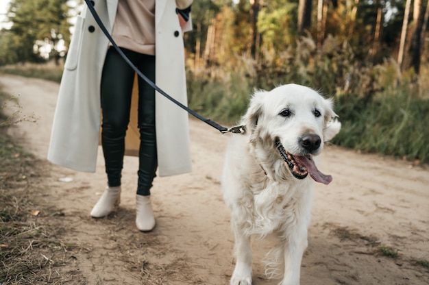 Girl with white golden retriever dog on the forest path