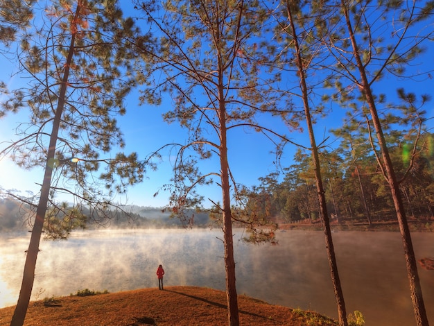 Girl or woman seeing view pine forest on morning time at Chiang mai, Thai