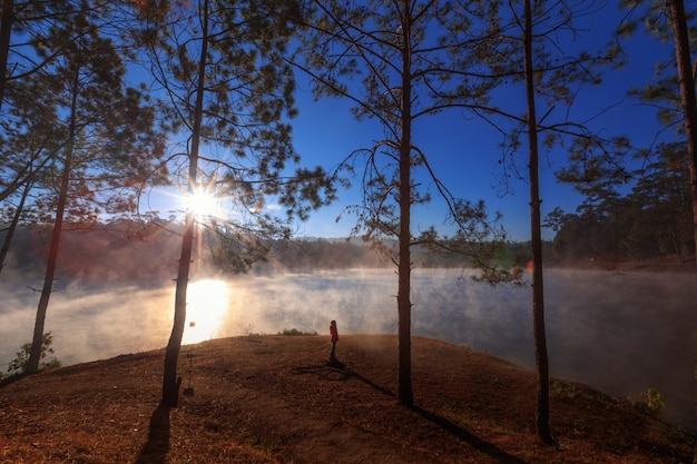 Girl or woman seeing view pine forest on morning time