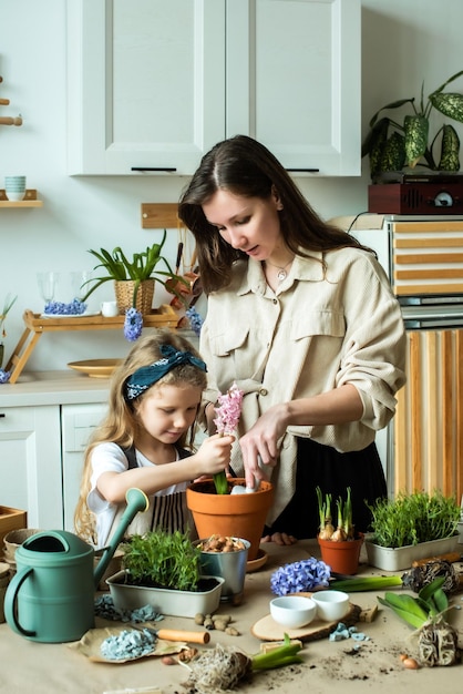 少女と女性は花を移植し、屋内植物は球根ヒヤシンスマイクログリーンを一緒に植えます