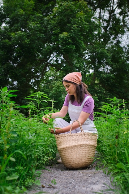 Girl working in a cannabis plantation with a wicker bag