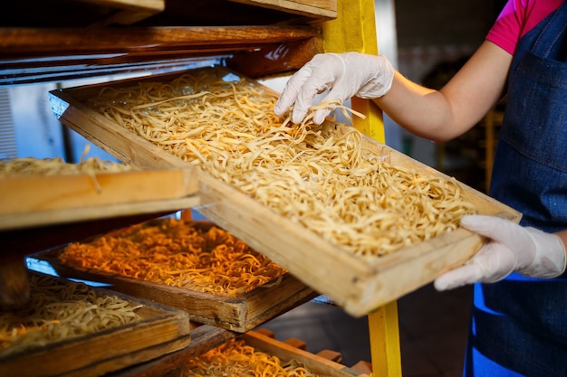 The girl works on the production of spaghetti. Making noodles. Pasta factory. Stage production of pasta. Raw noodles. Worker with a box of pasta.