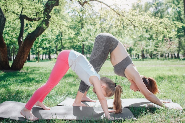 Photo girls are standing in dog position