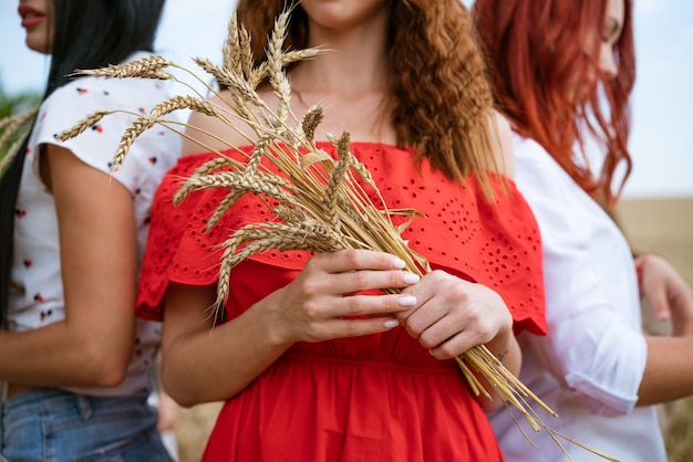 Girls hold ears of wheat in their hands closeup