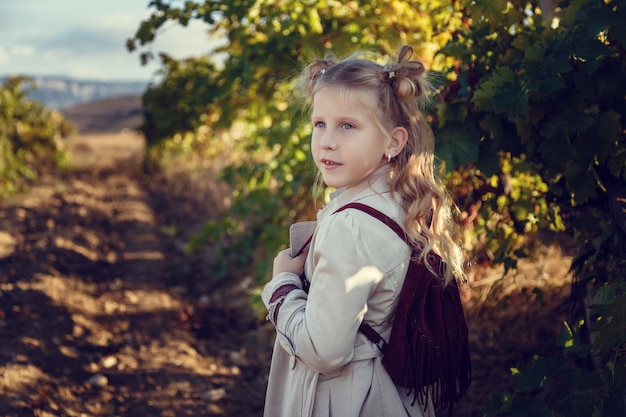 9月にブドウ園を収穫する女の子は、イタリアで厳選されたブドウの房を集めて収穫を増やします。生物学的概念ID、有機食品、手作りの高級ワイン