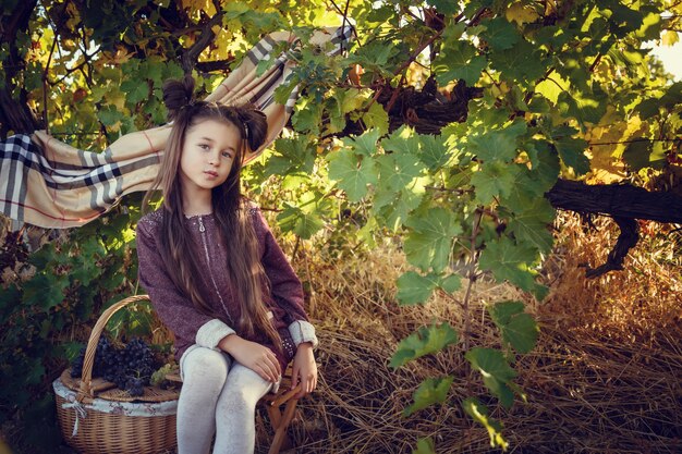 Girls in September to harvest vineyards , collect the selected grape bunches in Italy for the great harvest. biological concept id , organic food and fine wine handmade