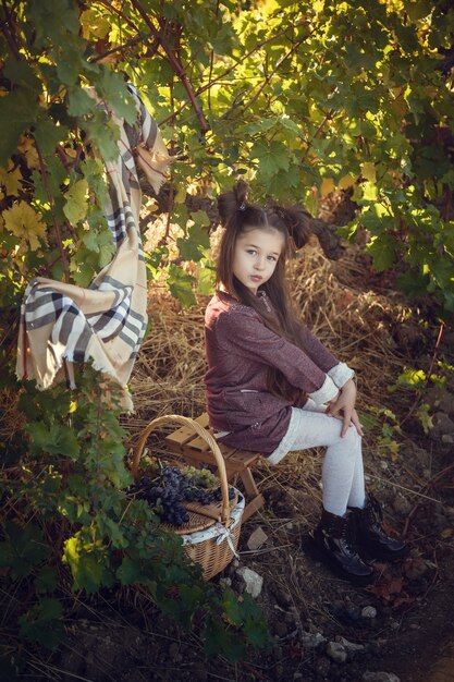 Girls in September to harvest vineyards , collect the selected grape bunches in Italy for the great harvest. biological concept id , organic food and fine wine handmade