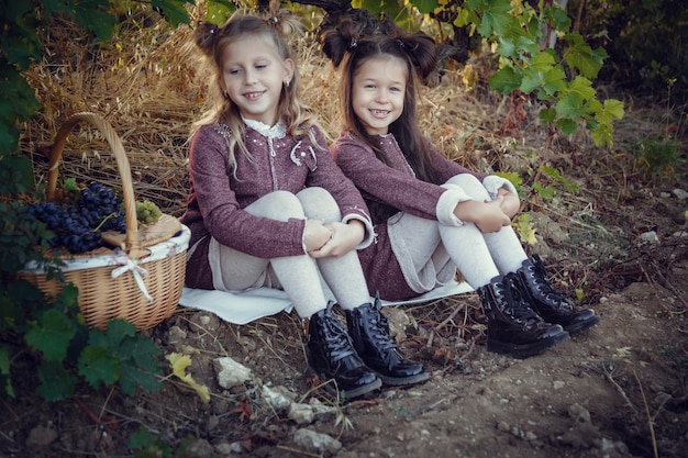 Girls in September to harvest vineyards , collect the selected grape bunches in Italy for the great harvest. biological concept id , organic food and fine wine handmade