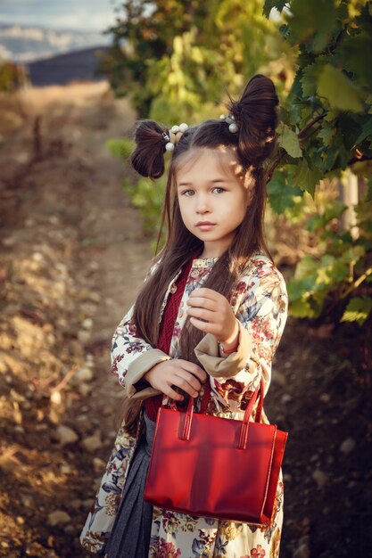 9月にブドウ園を収穫する女の子は、イタリアで厳選されたブドウの房を集めて収穫を増やします。生物学的概念ID、有機食品、手作りの高級ワイン