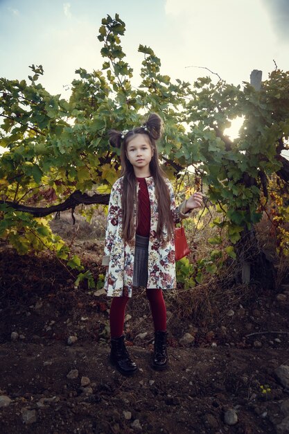 Girls in September to harvest vineyards , collect the selected grape bunches in Italy for the great harvest. biological concept id , organic food and fine wine handmade