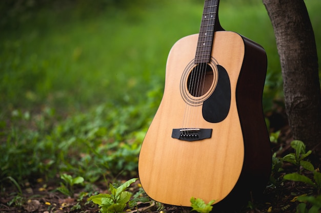 Gitaar in het bos Neem een ​​gitaar naar het bos.