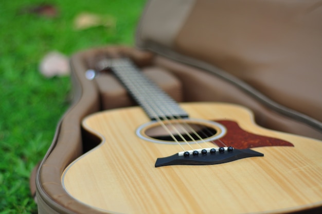 Gitaar in zak op grasachtergrond