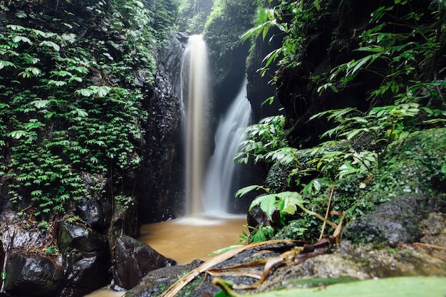 Gitgit waterfall at Bali, Indonesia