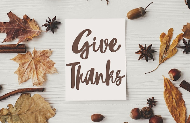 Photo give thanks text on blank card autumn leaves nuts anise acorns on white wood flat lay happy thanksgiving seasonal greeting card handwritten sign thanksgiving greetings