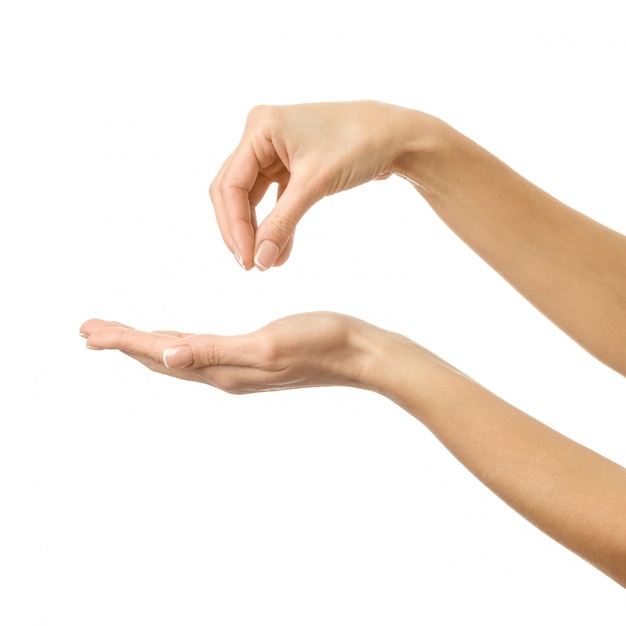 Фото Давать, достигать или держать руку. жест рукой женщины изолированный на белизне