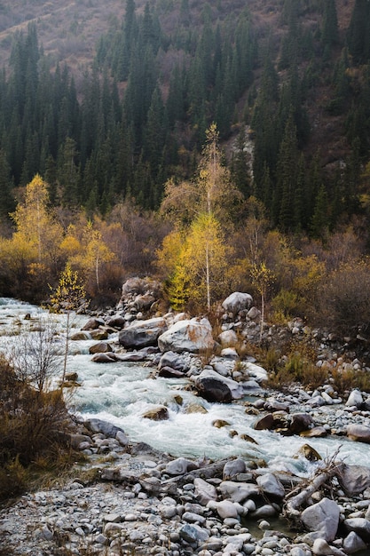 Glacial river flows through the Ala Archa mountain pass in Kyrgyzstan