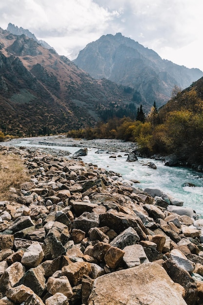 Il fiume glaciale scorre attraverso il passo di montagna ala archa in kirghizistan