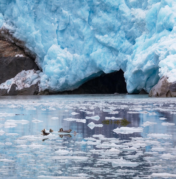 Photo glacier on alaska