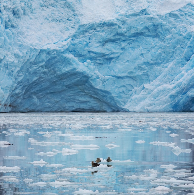 Foto ghiacciaio dell'alaska