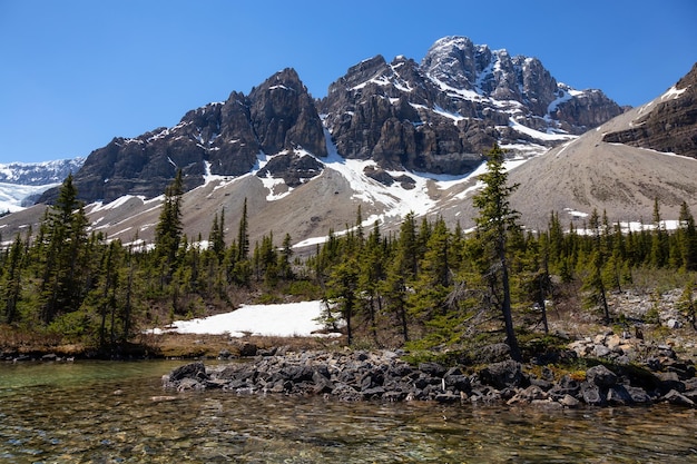 Glacier lake during a vibrant sunny summer day