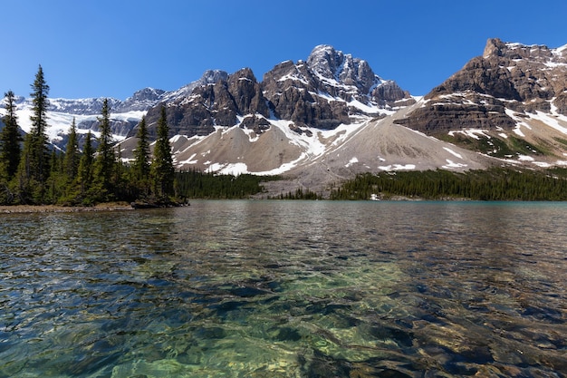 Glacier lake during a vibrant sunny summer day