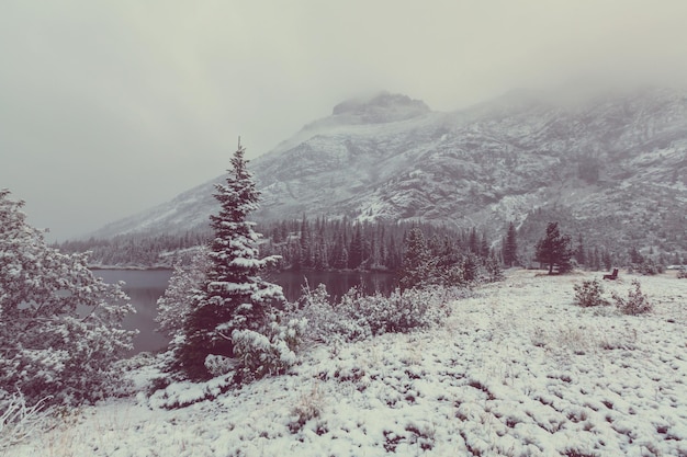 Parco nazionale del ghiacciaio, montana. inverno.