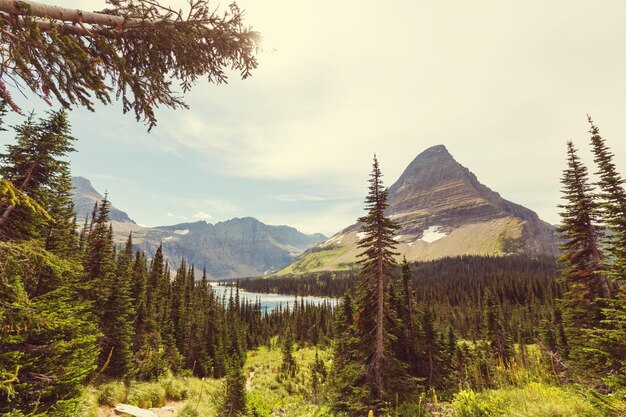 Glacier Park