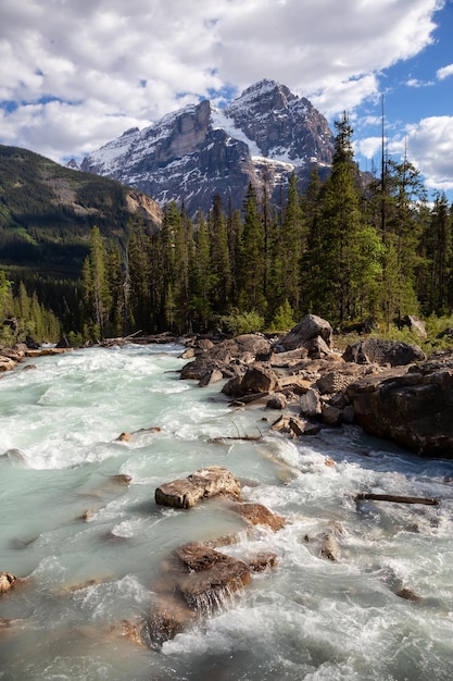 Glacier river in Yoho National Park during a vibrant sunny summer day